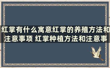 红掌有什么寓意红掌的养殖方法和注意事项 红掌种植方法和注意事项